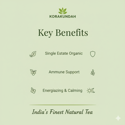 KORAKUNDAH Tulsi Green Tea  (25 Dip Bags)