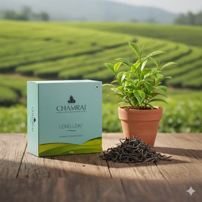 CHAMRAJ Long Leaf FOP (Flowery Orange Pekoe) Tea 250 g