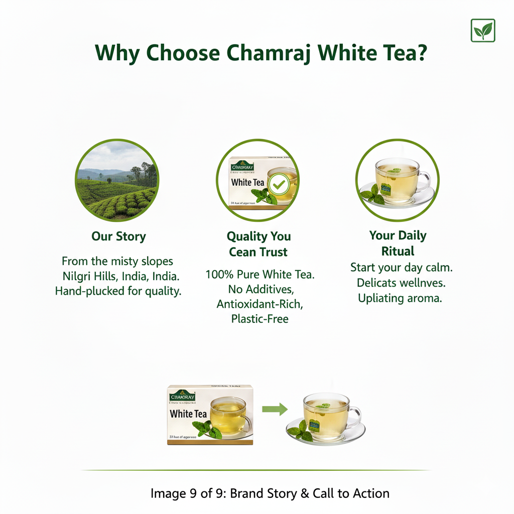 CHAMRAJ White Tea (25 Dip Bags)