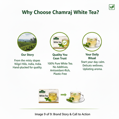 CHAMRAJ White Tea (25 Dip Bags)