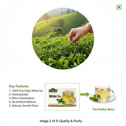 CHAMRAJ White Tea (25 Dip Bags)